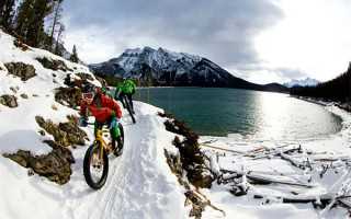 有这个证的广东人留意了，限时免费！