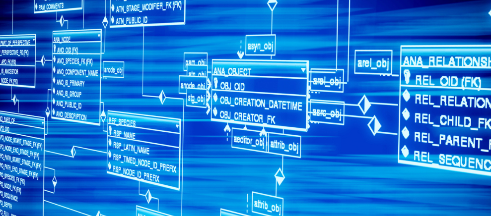爸爸姓“朱”给儿子取的名字火了，或成全国唯一，网友：考试咋办